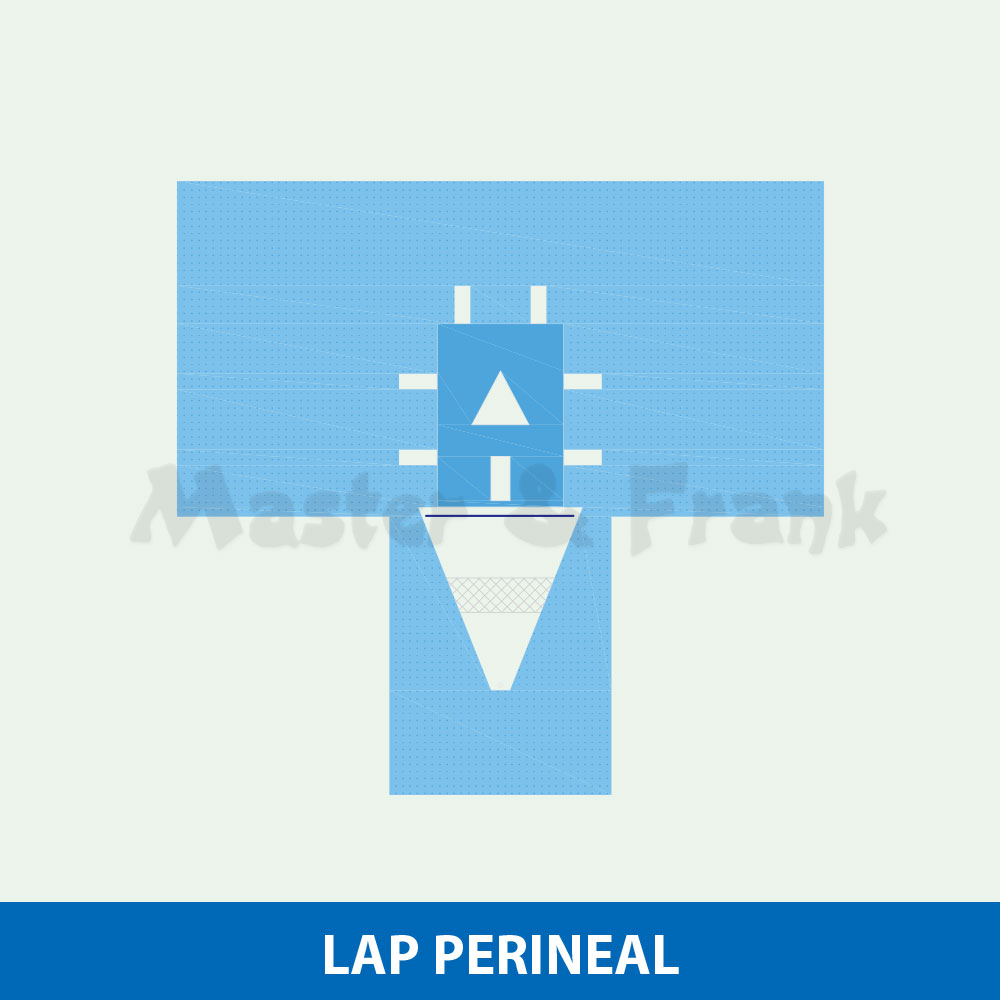 LAP Perineal